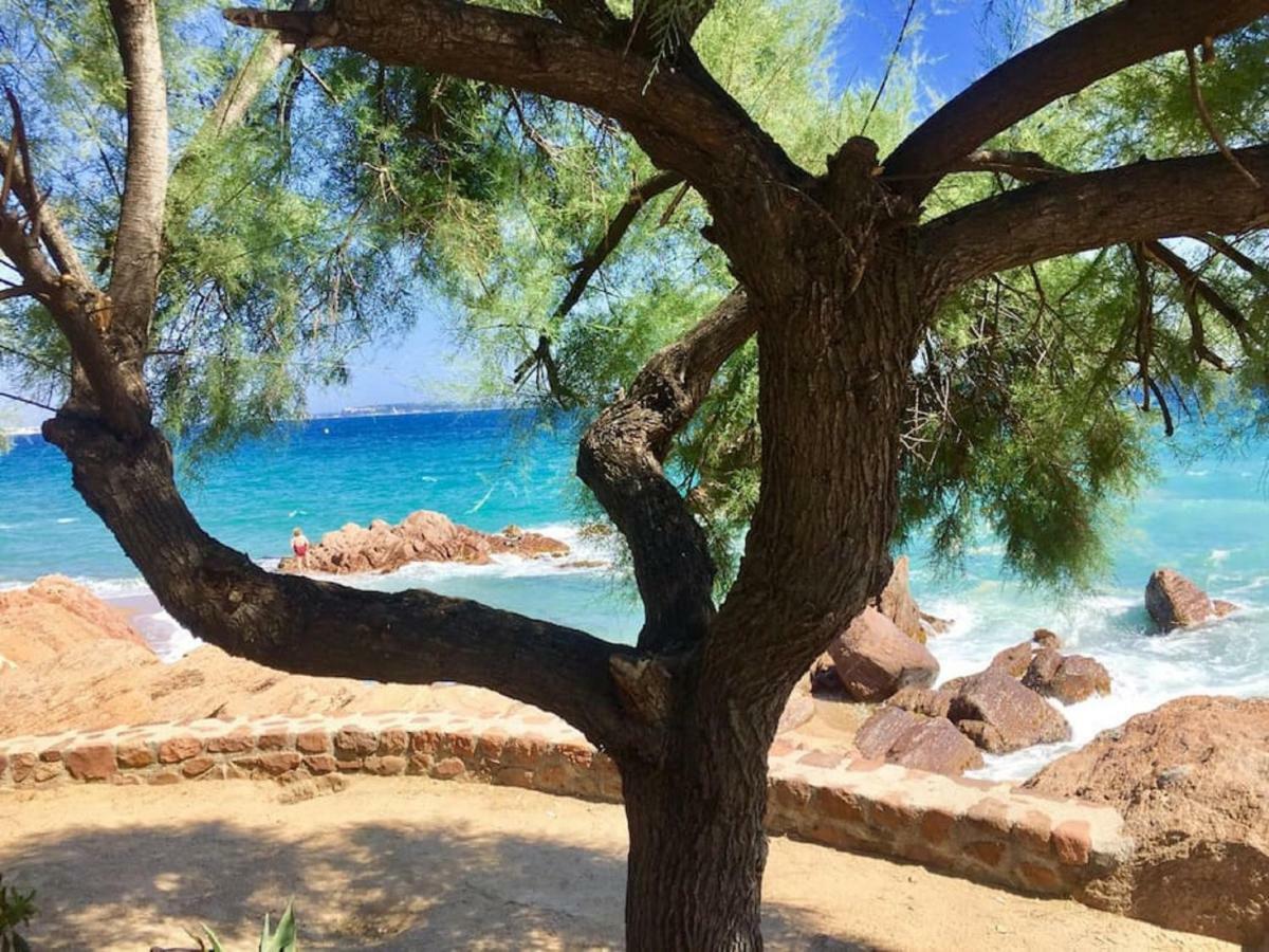 Zen Sea View In Front X2 Pools-ac-clim-wifi-free Parking Inside Appartement *